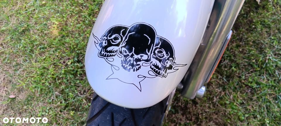 Harley-Davidson V-Rod Street Rod - 7