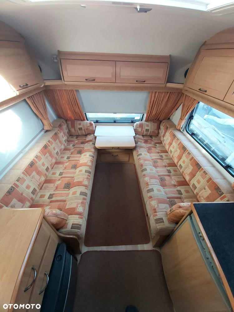 Avondale Argente - 19