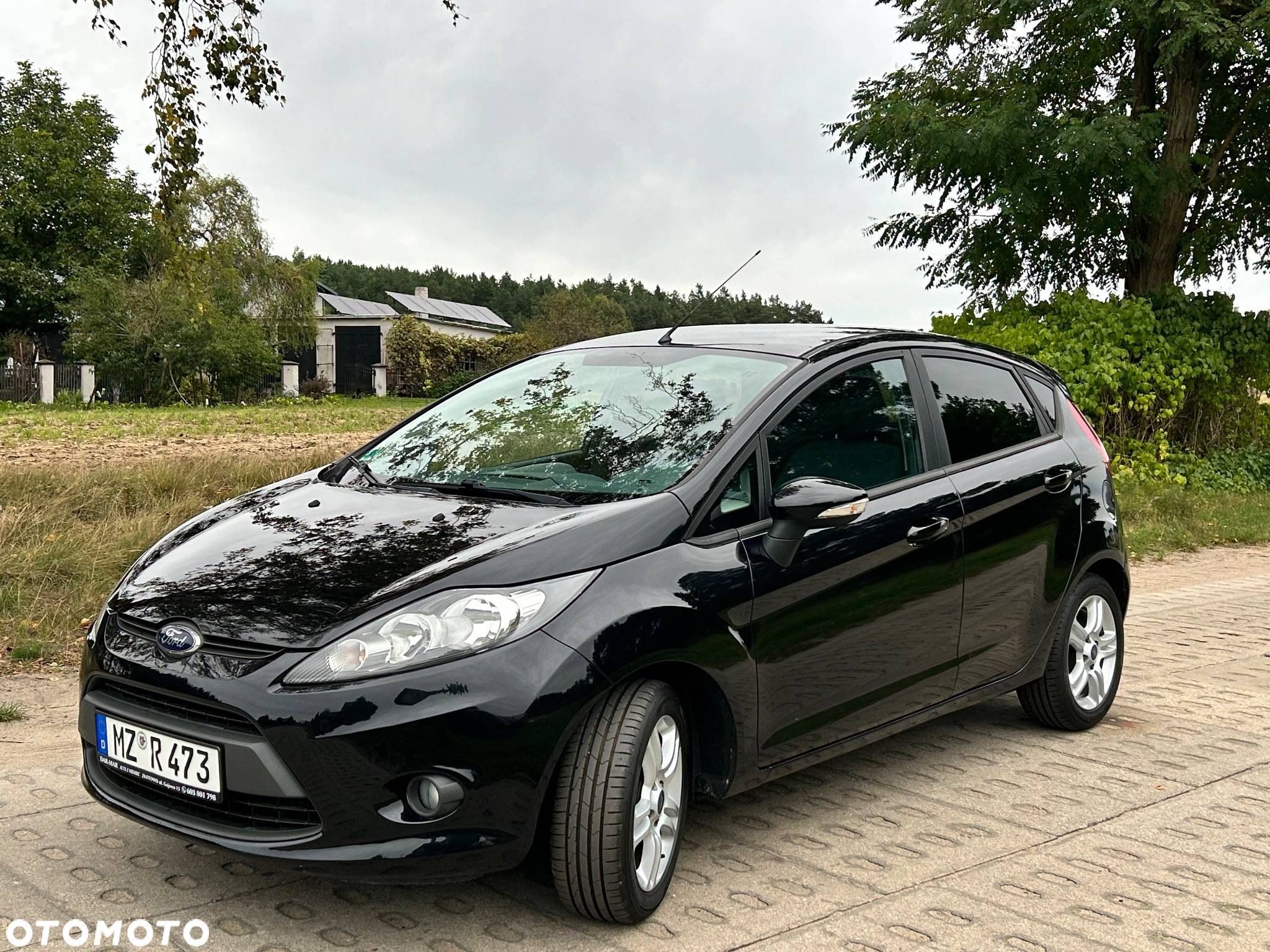 Ford Fiesta 1.25 Platinium X - 10