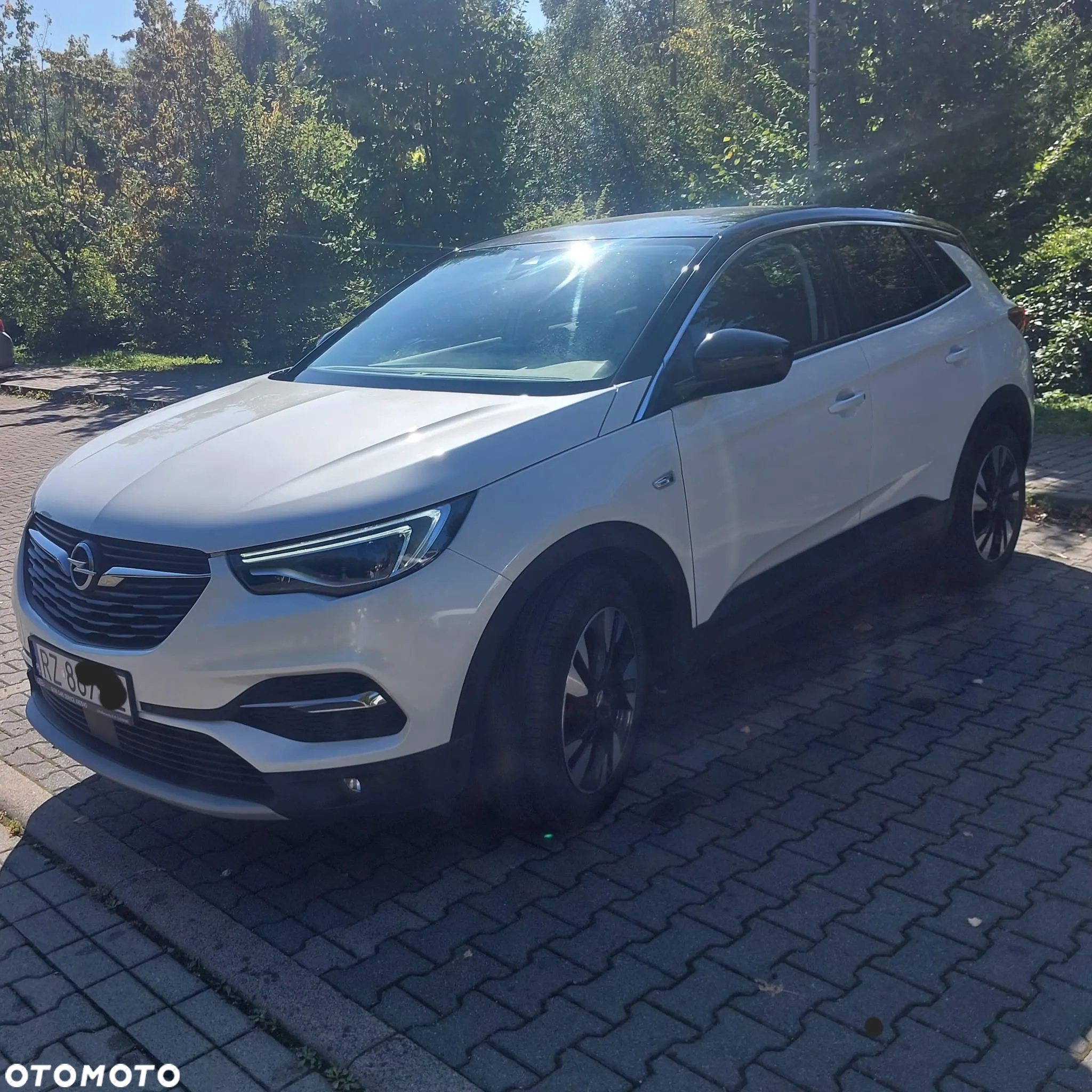 Opel Grandland X 1.2 T GPF Edition S&S - 3