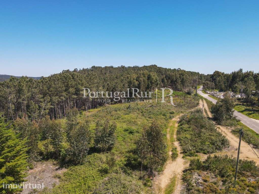Terreno com 1.750 m2 próximo de proença-a-nova - Grande imagem: 2/11