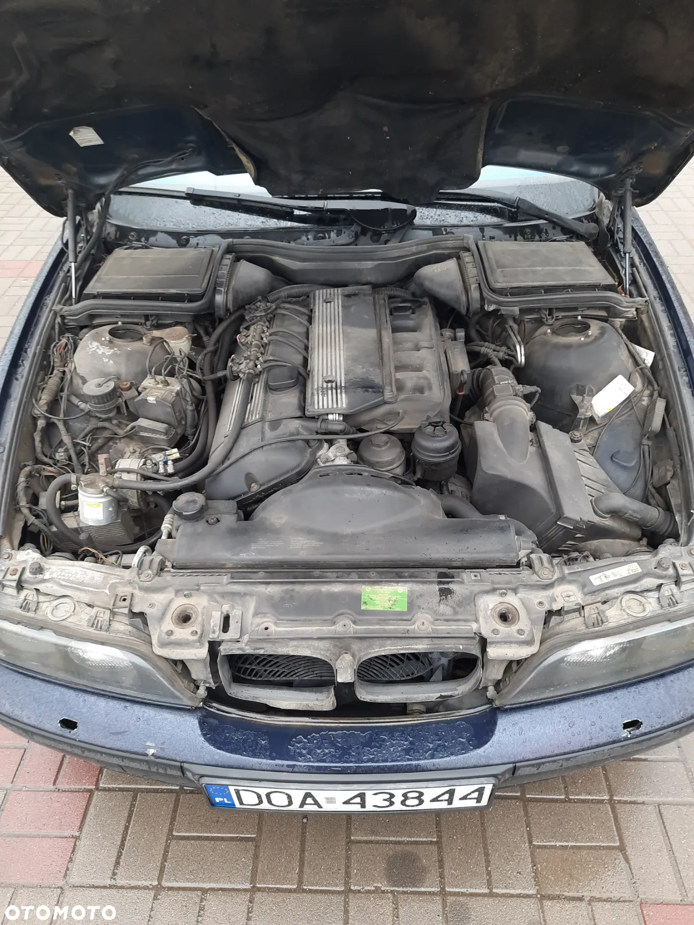 BMW Seria 5 528i - 8
