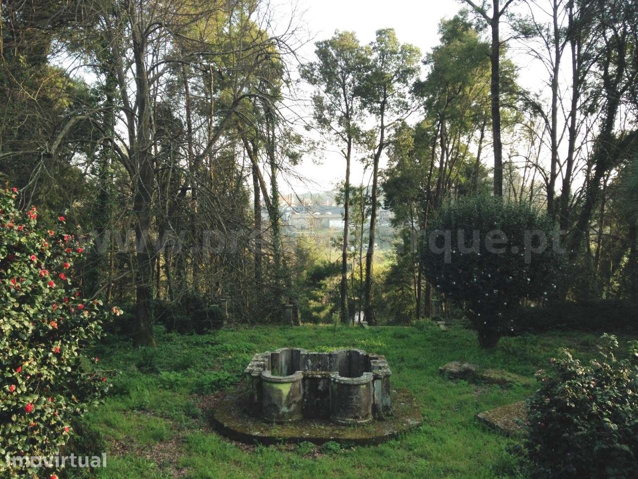 Quinta  Venda em Areias, Sequeiró, Lama e Palmeira,Santo Tirso - Grande imagem: 5/7