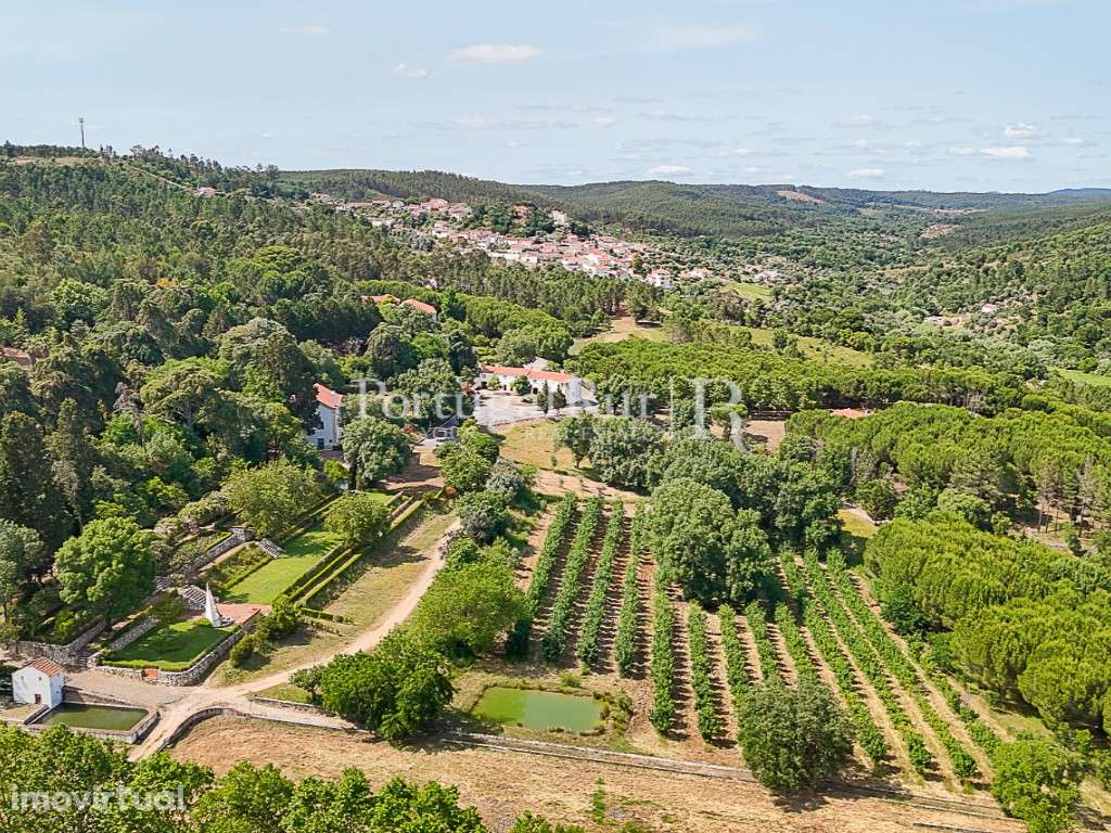 Propriedade de 55 hectares com solar do Sec. XVIII - Grande imagem: 5/60
