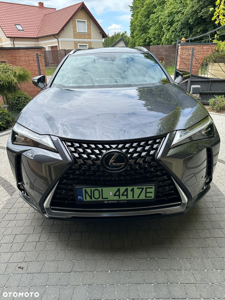 Lexus UX 300e 72.8 kWh Omotenashi 2WD - 1