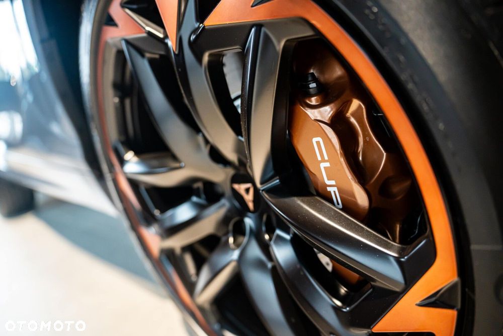 Cupra Terramar - 9
