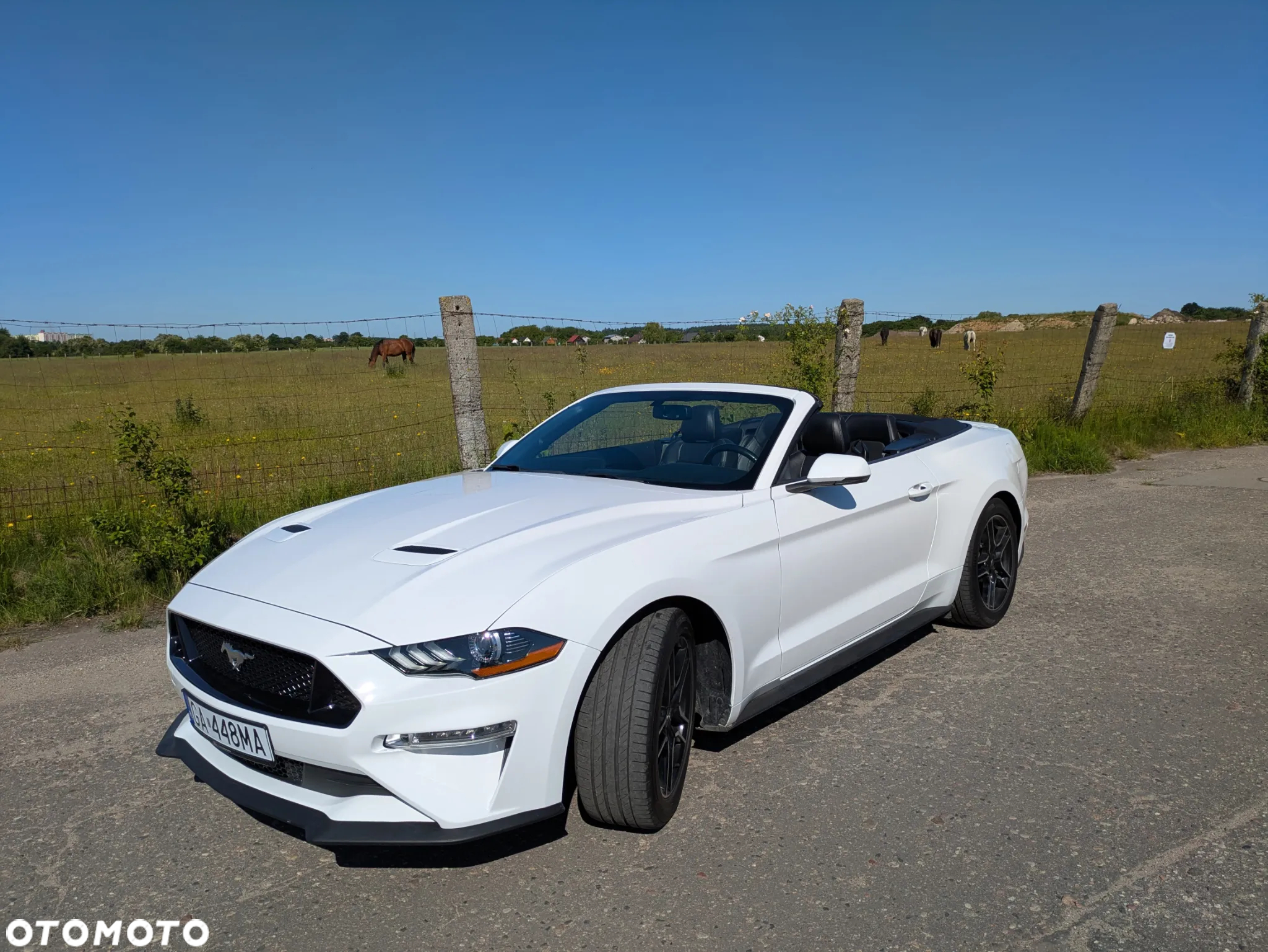 Ford Mustang 2.3 EcoBoost - 30