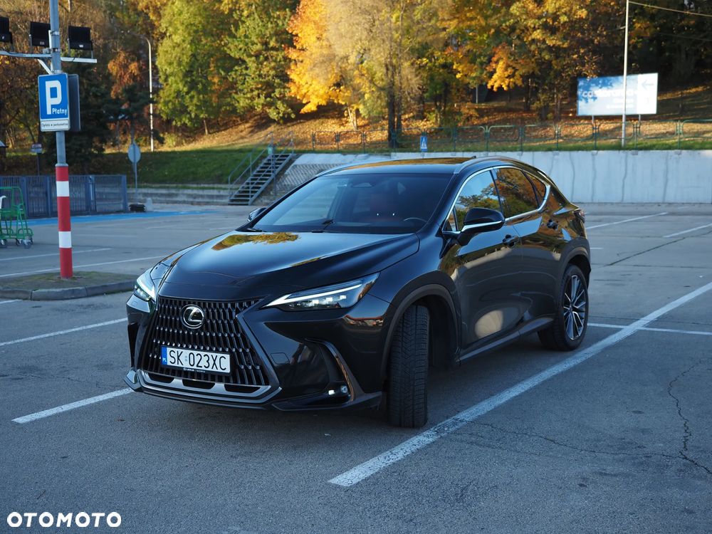 Lexus NX - 19