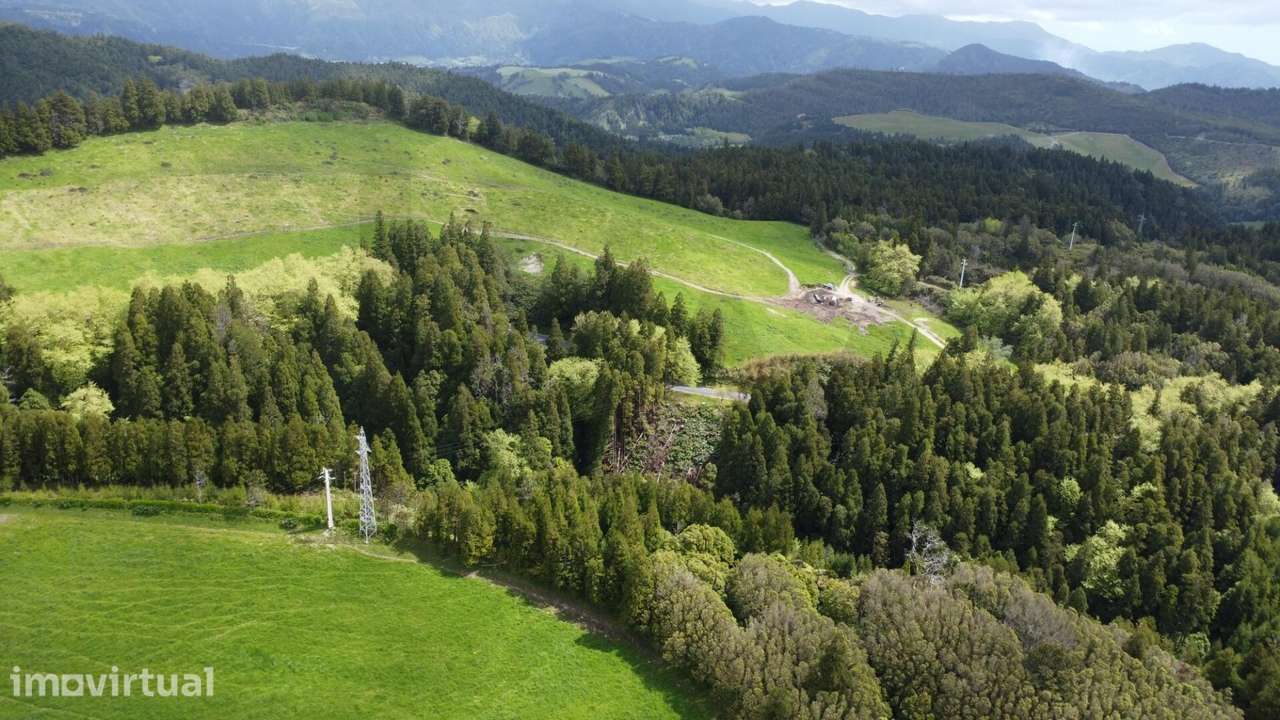 Terreno Rústico com 6,8 Hectares e Rendimento Imediato – Ponta Garça - Grande imagem: 4/9