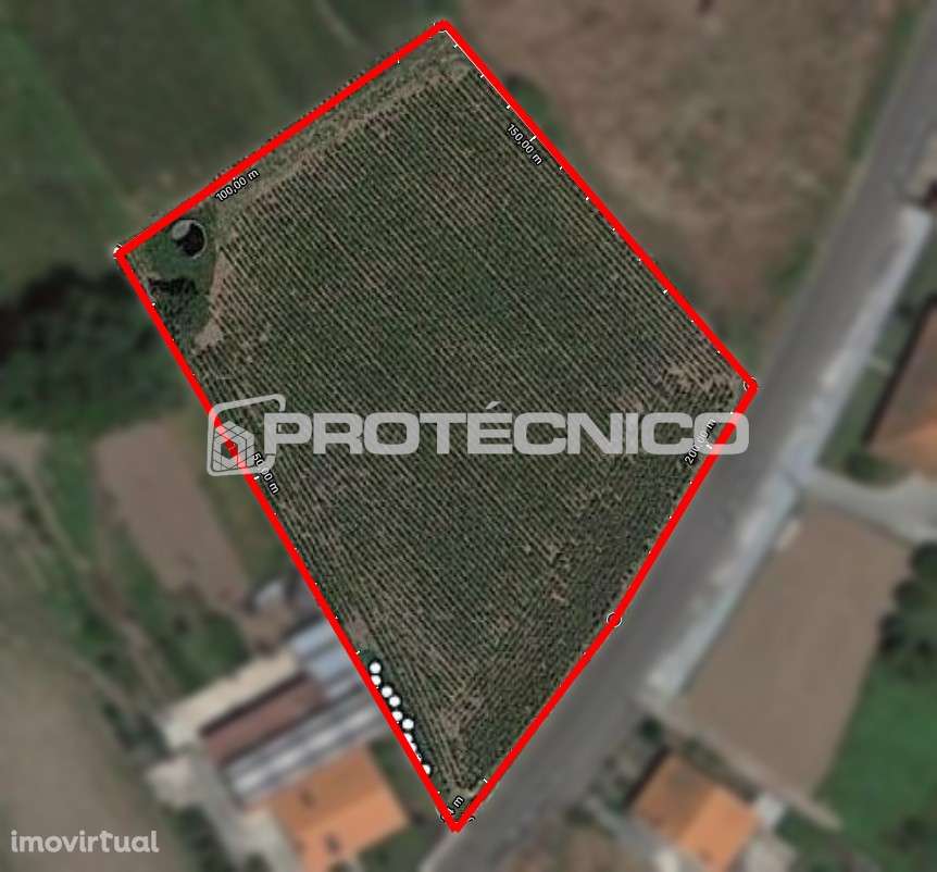 Terreno p/ construção de Moradias Isoladas - Oliveirinha - Grande imagem: 4/4