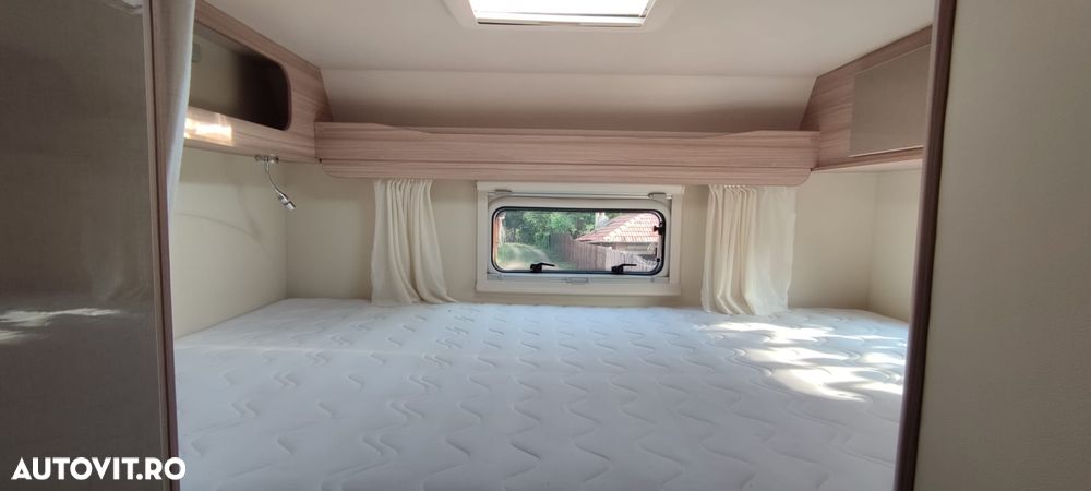 Ahorn Canada AD - 10