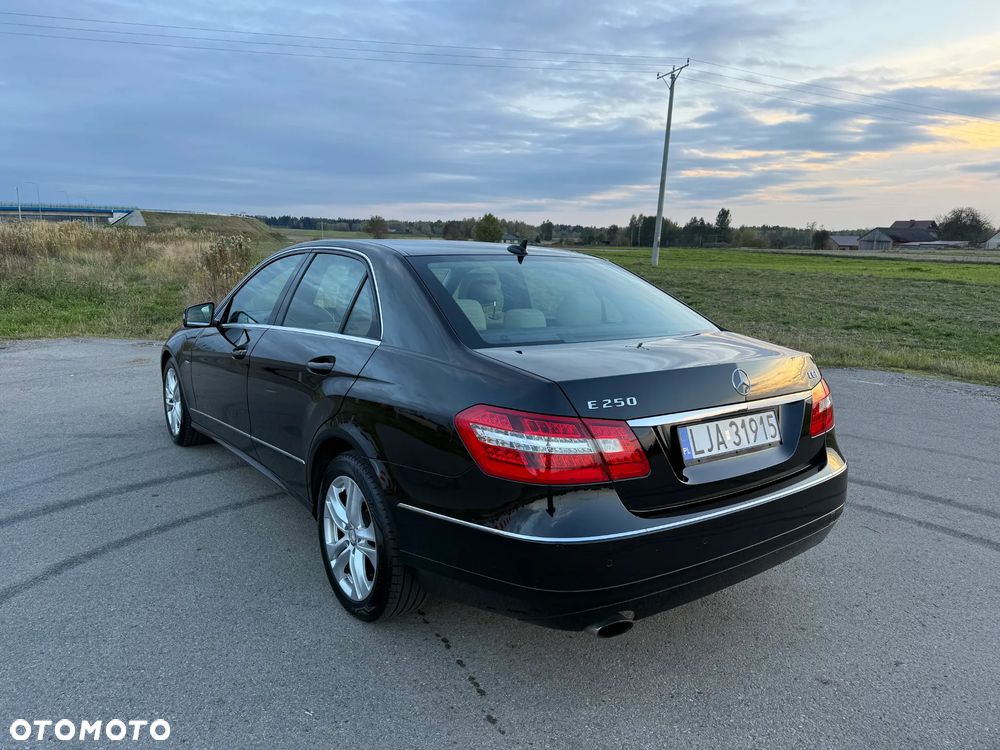 Mercedes-Benz Klasa E 250 T BlueEFFICIENCY 7G-TRONIC Avantgarde - 3