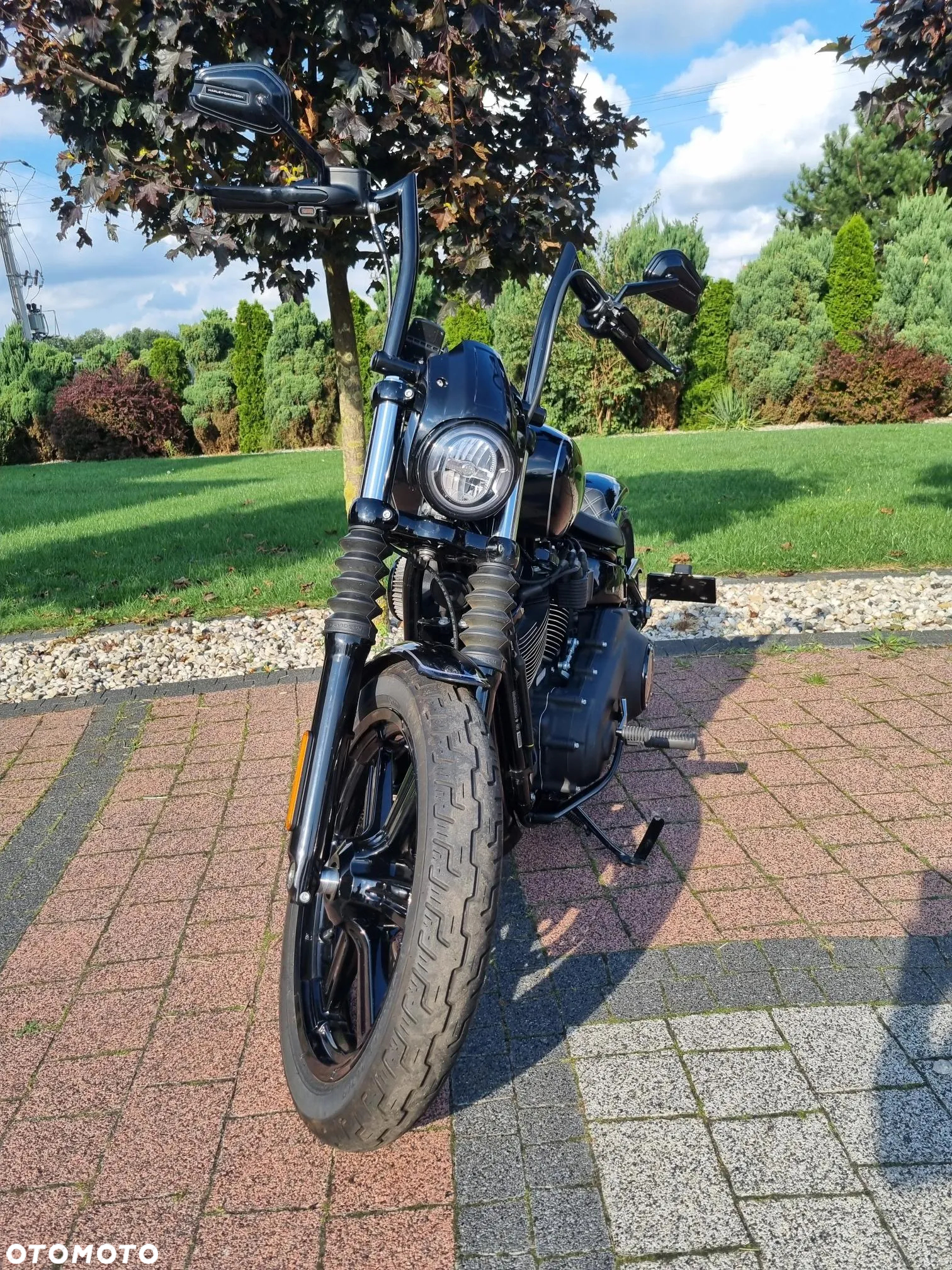 Harley-Davidson Softail Custom - 2