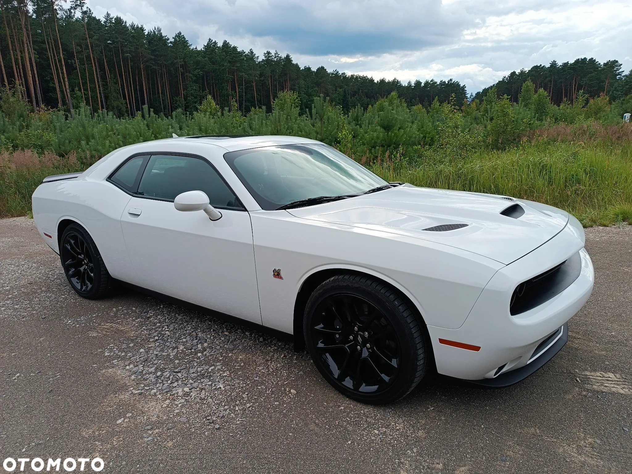 Dodge Challenger 6.4 Scat Pack - 10