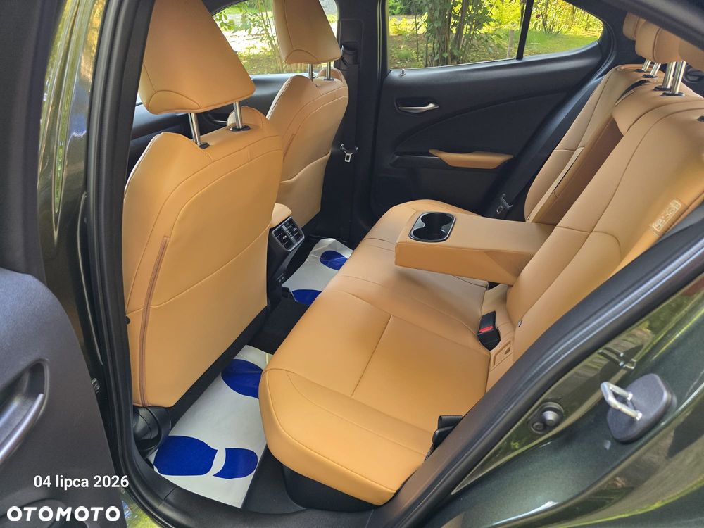 Lexus UX 250h GPF F Sport Design+ 2WD - 5