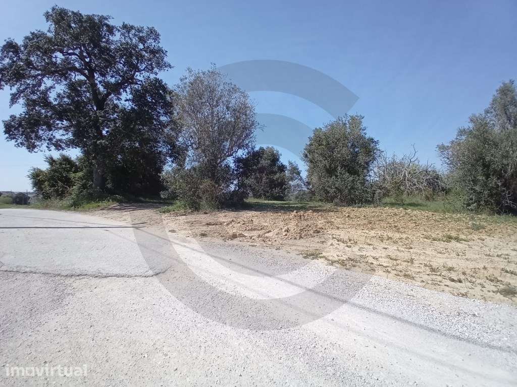 Terreno - Terra Fria, Casével, Santarém - Grande imagem: 2/4