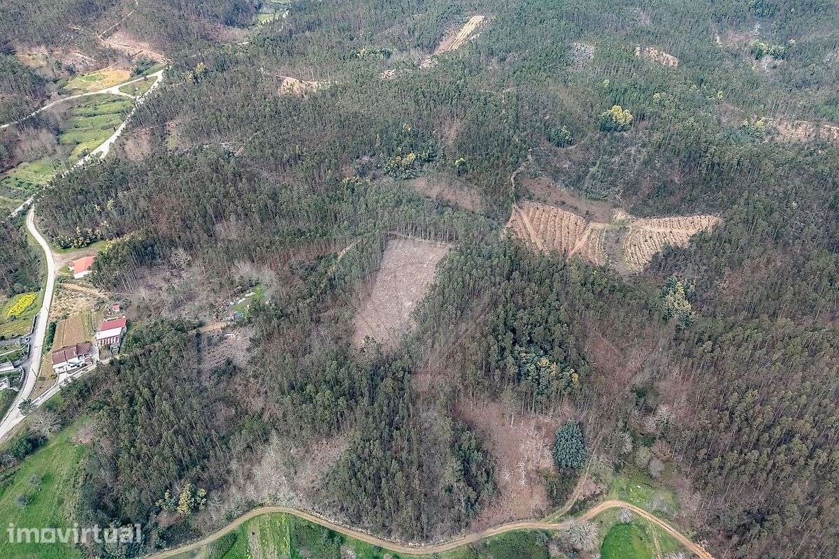 Terreno  para venda - Vista 4