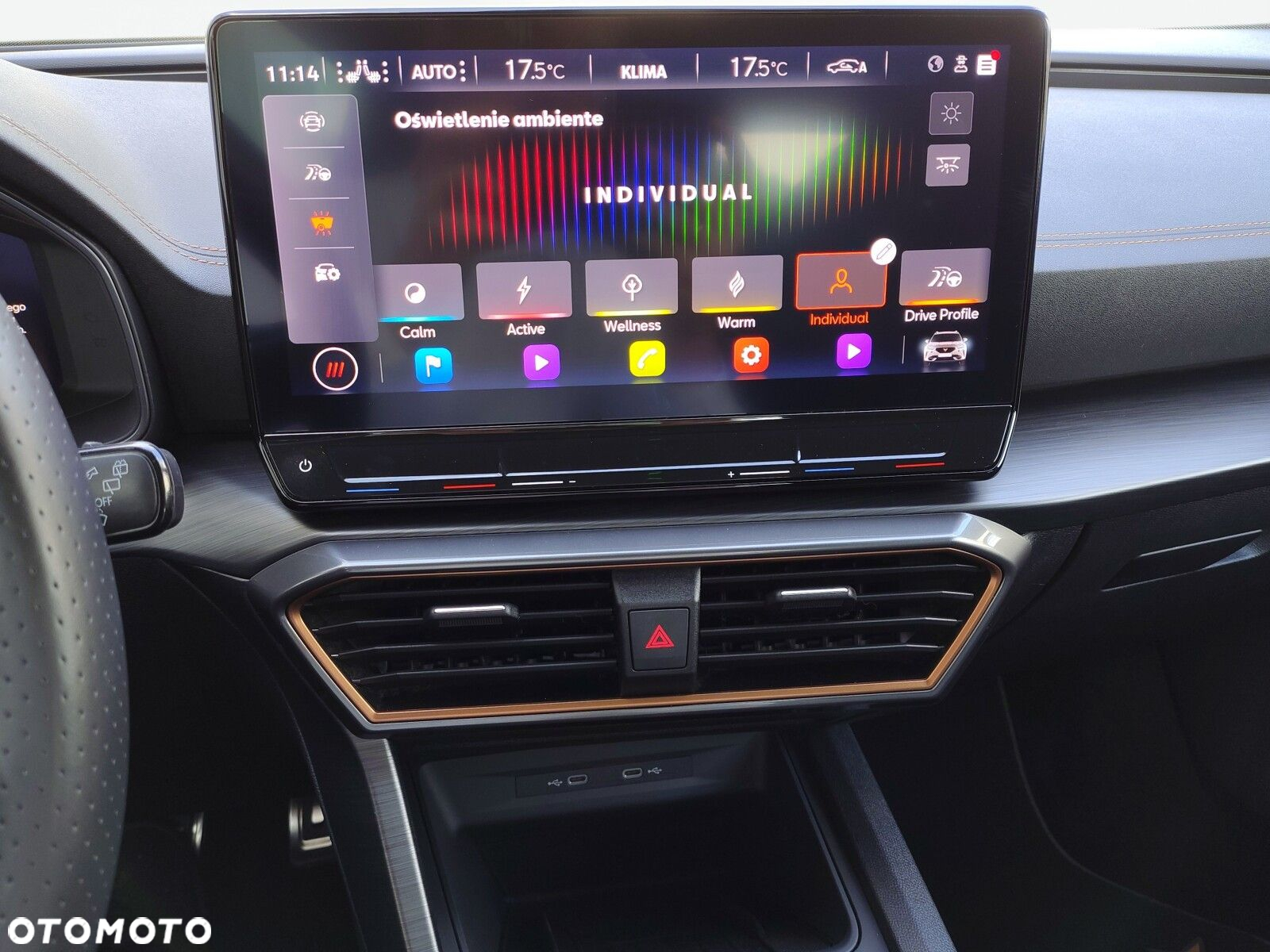 Cupra Formentor 2.0 TSI VZ DSG - 21