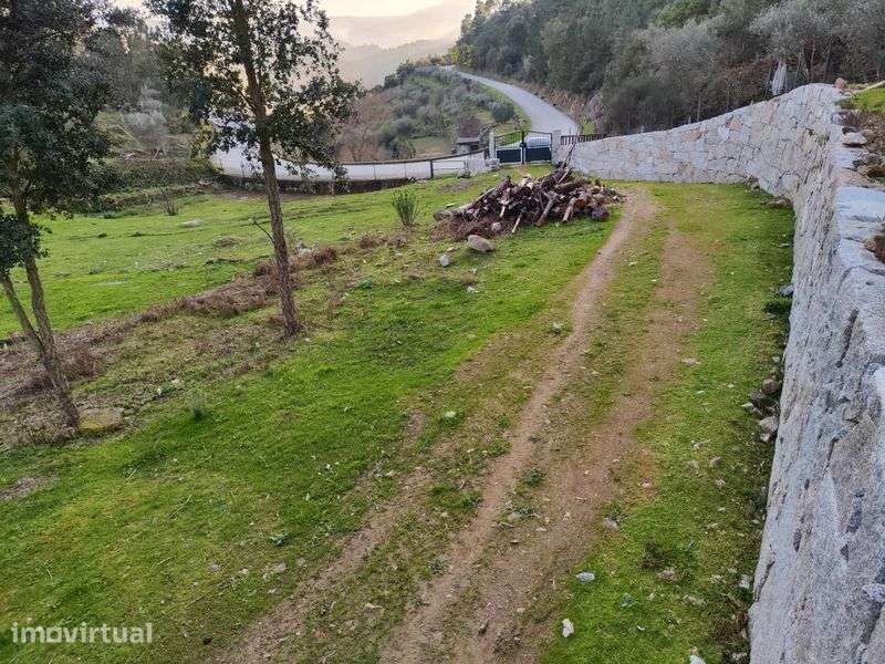 Quinta 3 Hectares Murganheira ( Tarouca ) - Grande imagem: 2/12
