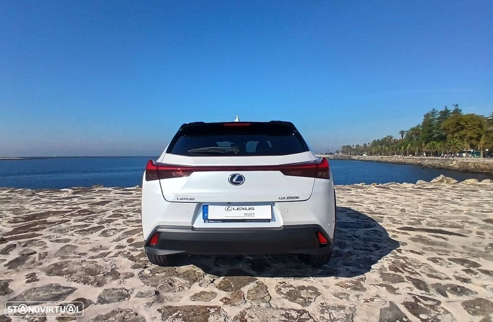 Lexus UX 250h Special Edition (LCA) - 6