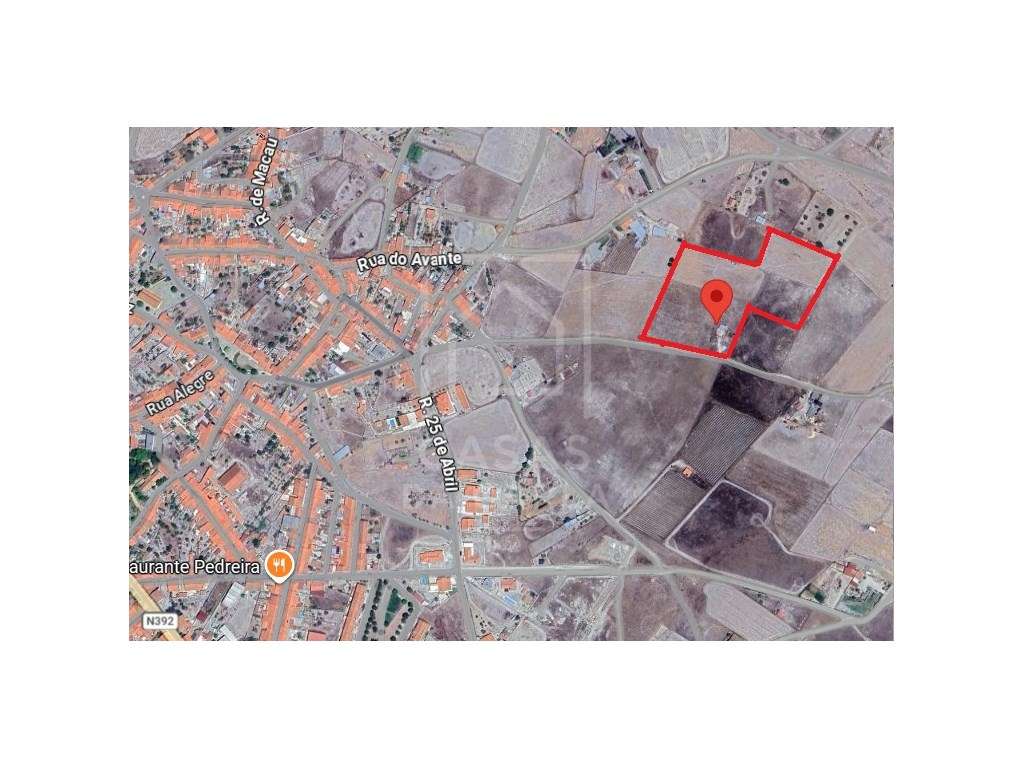 Terreno rústico com 1.8 hectares em Pias - Grande imagem: 4/15