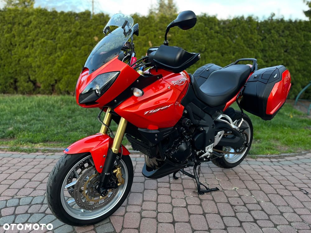 Triumph Tiger - 8