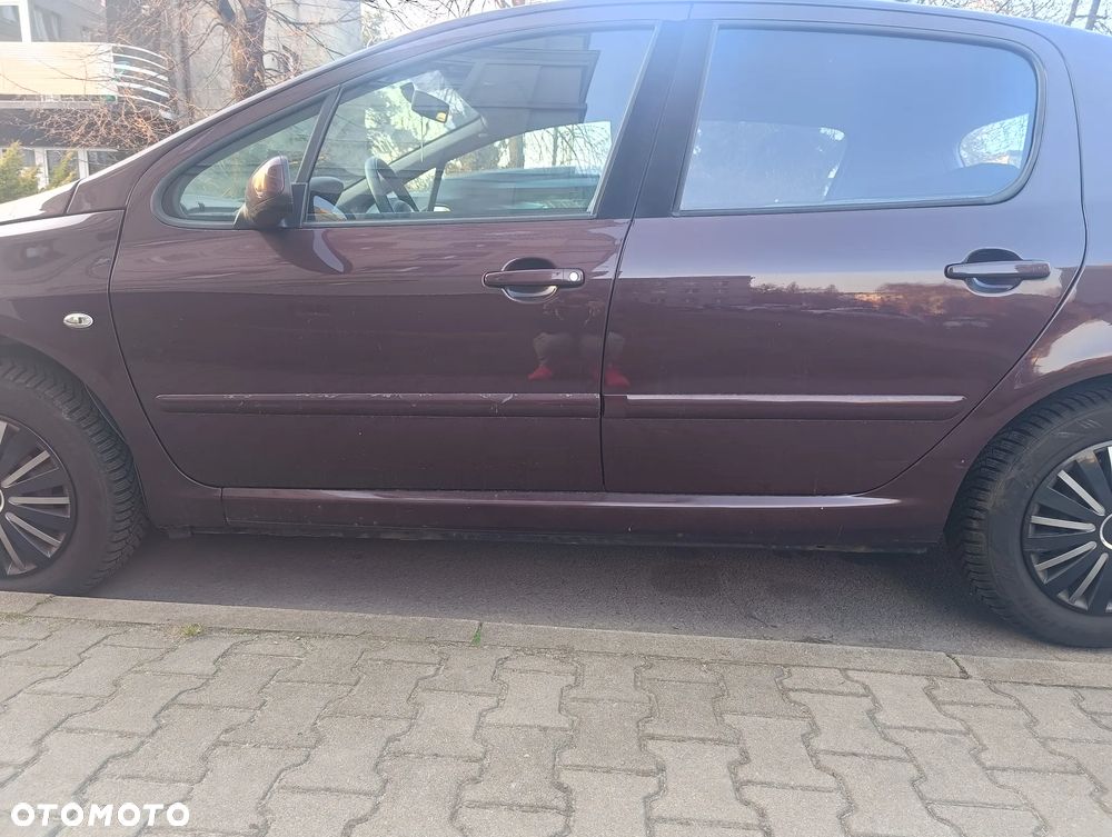 Peugeot 307 1.4 Oxygene - 11