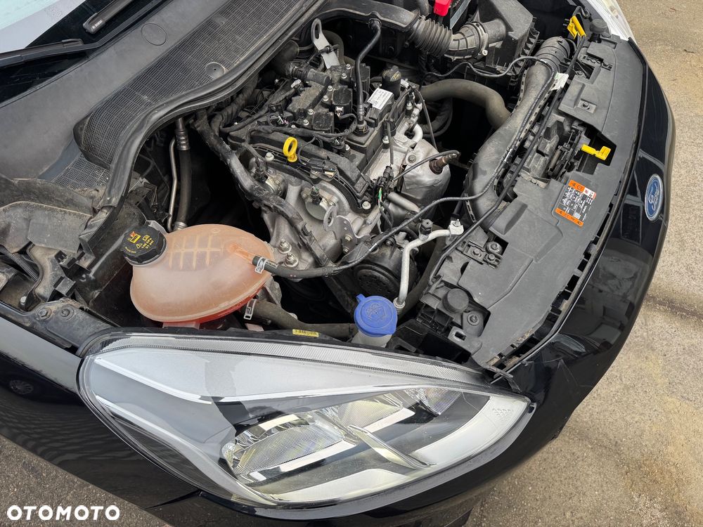 Ford Fiesta - 26
