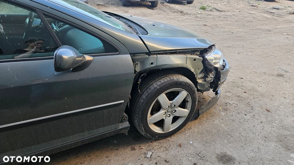 Peugeot 407 - 14