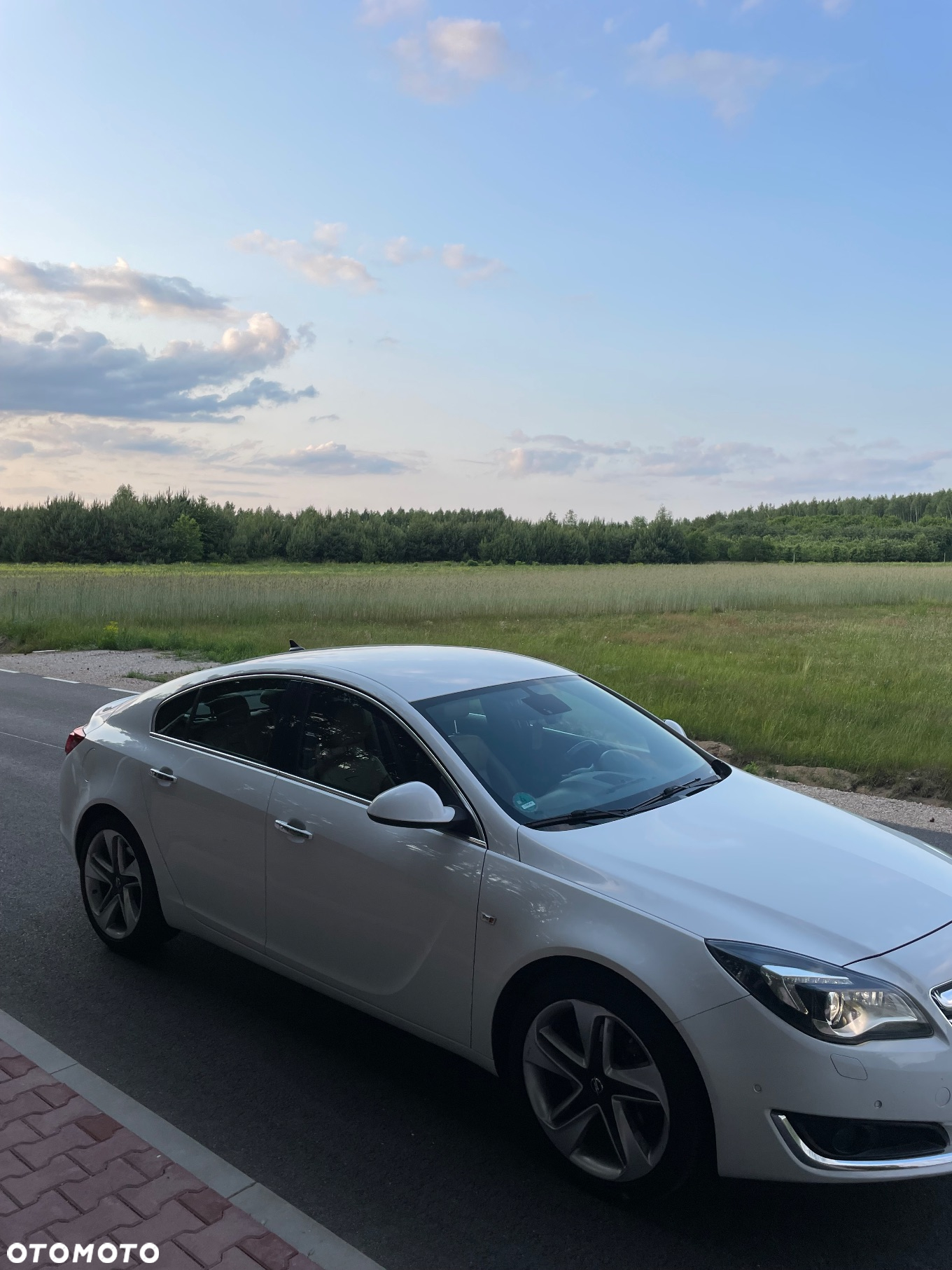 Opel Insignia 1.6 T Executive S&S EU6 - 6