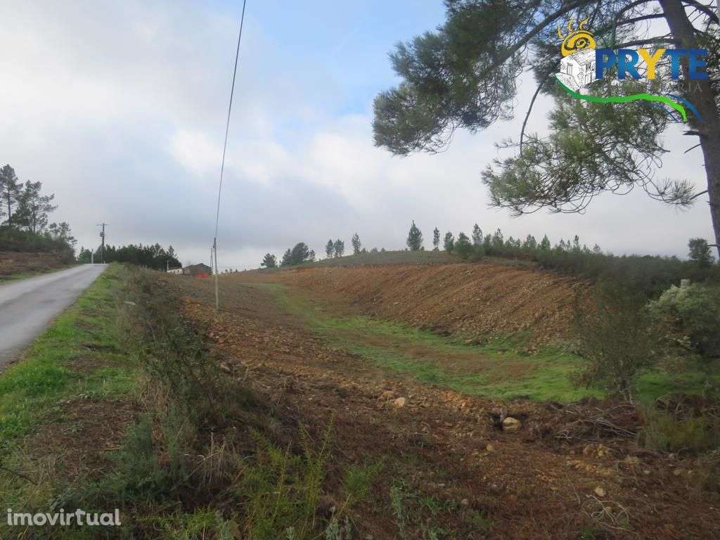 Propriedade com 4.844 metros quadrados situada a 10 km da Sertã - Grande imagem: 2/28