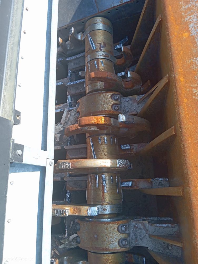 Pacton - 12
