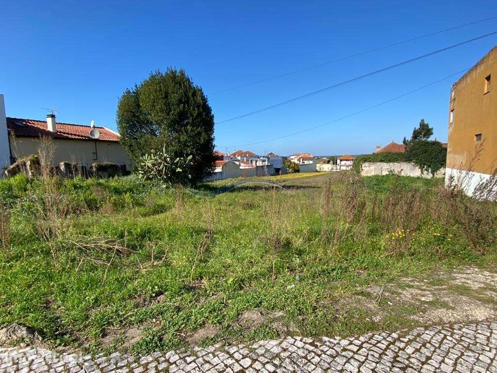 Terreno - Monte Real - Grande imagem: 3/15