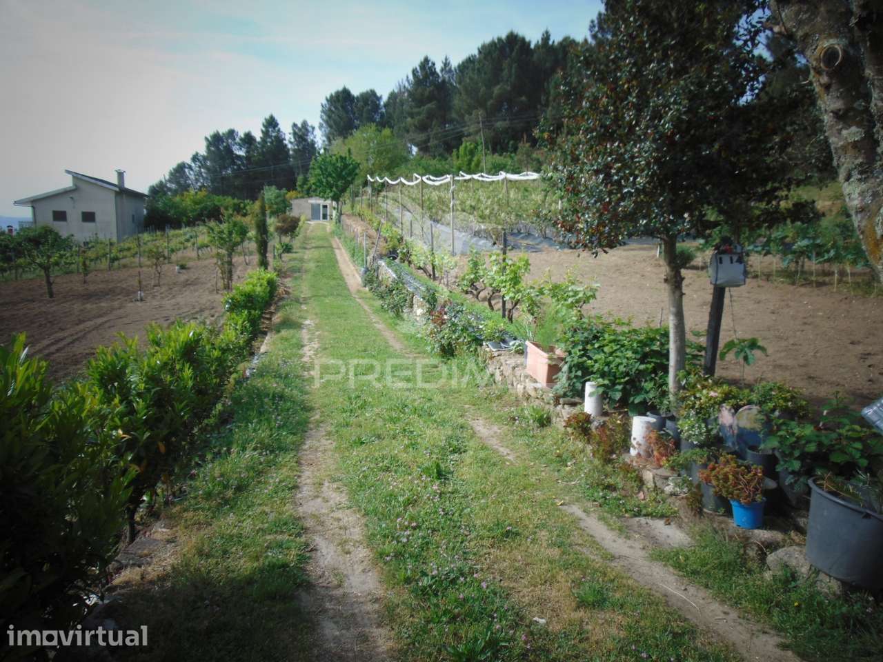 Terreno Urbanizável em Torgueda - Vila Real - Grande imagem: 5/40