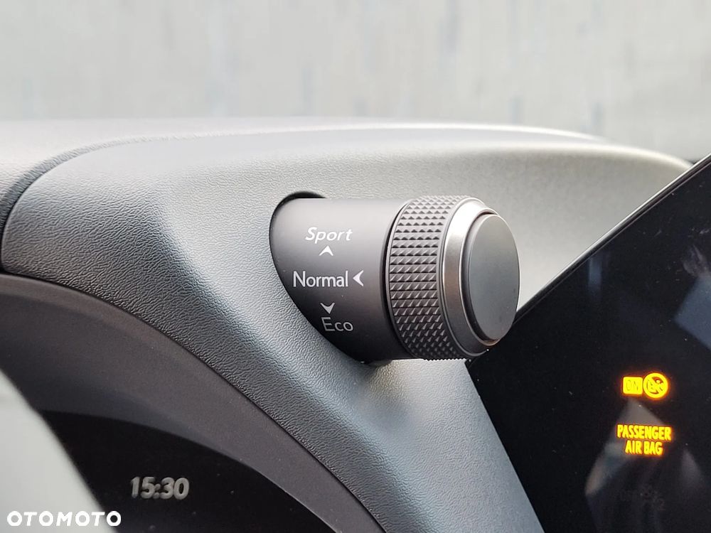 Lexus UX 300h F Sport Design - 23