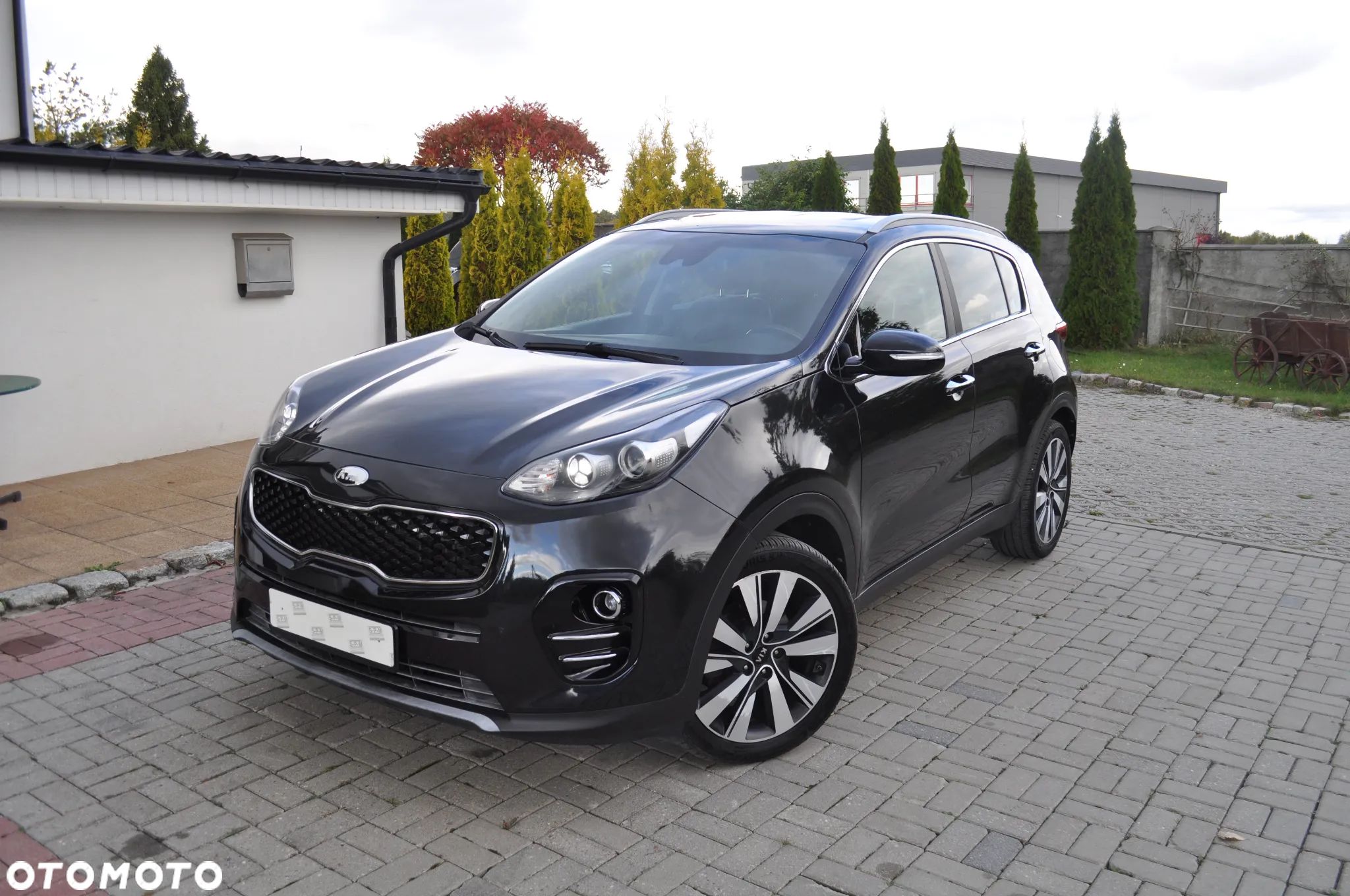 Kia Sportage 1.6 CRDI AWD Eco-Dynamics+ (48V M-H) DCT Black Edition - 1