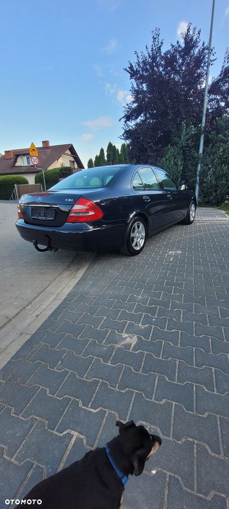 Mercedes-Benz Klasa E 220 CDI Elegance - 9