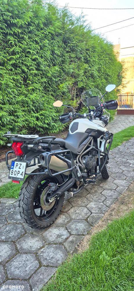Triumph Tiger - 5