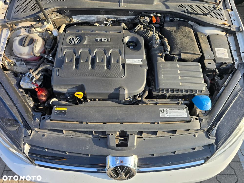 Volkswagen Golf - 17
