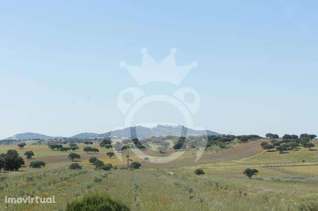 Monte alentejano no Outeiro/Monsaraz - Grande imagem: 5/29