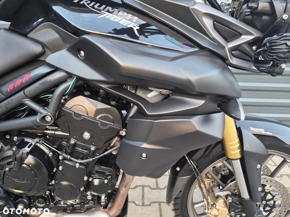 Triumph Tiger - 13