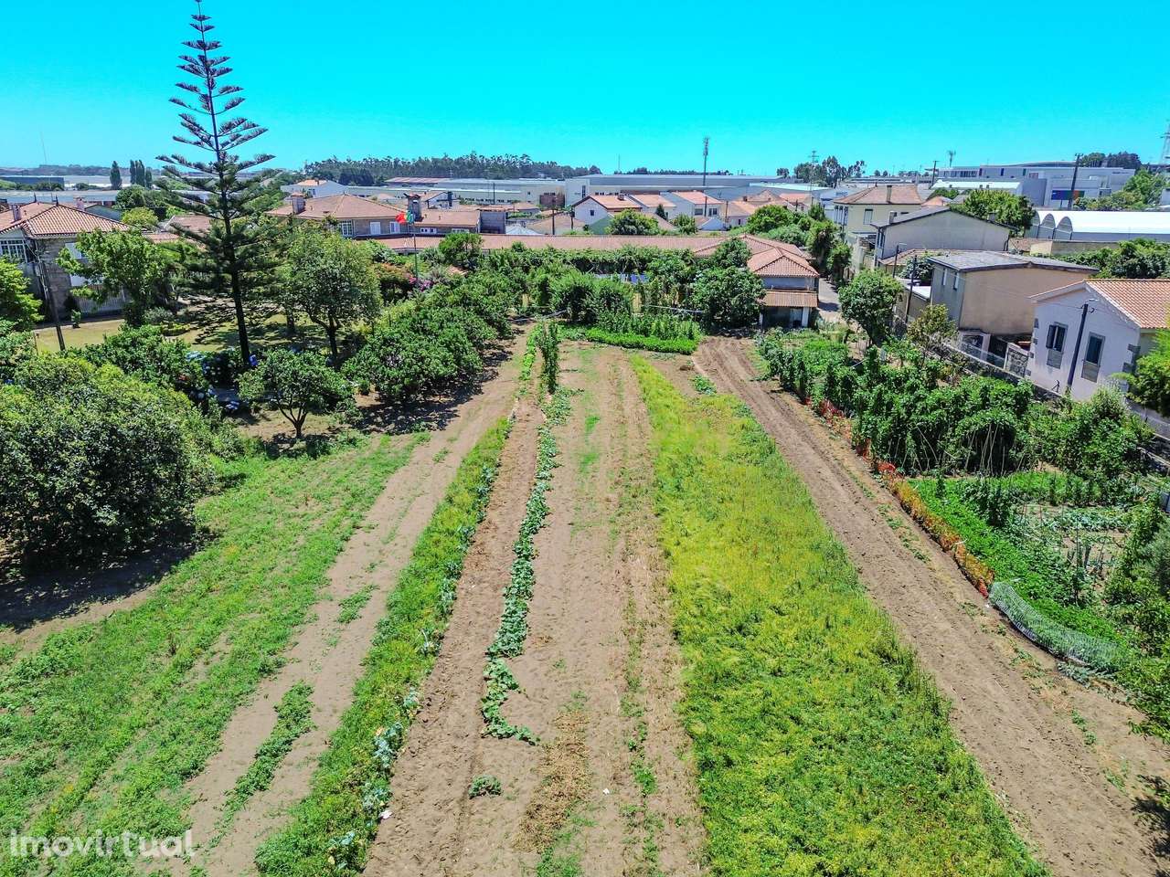 Quinta Santo António — Um refúgio único com piscina privada e potencia - Grande imagem: 5/60