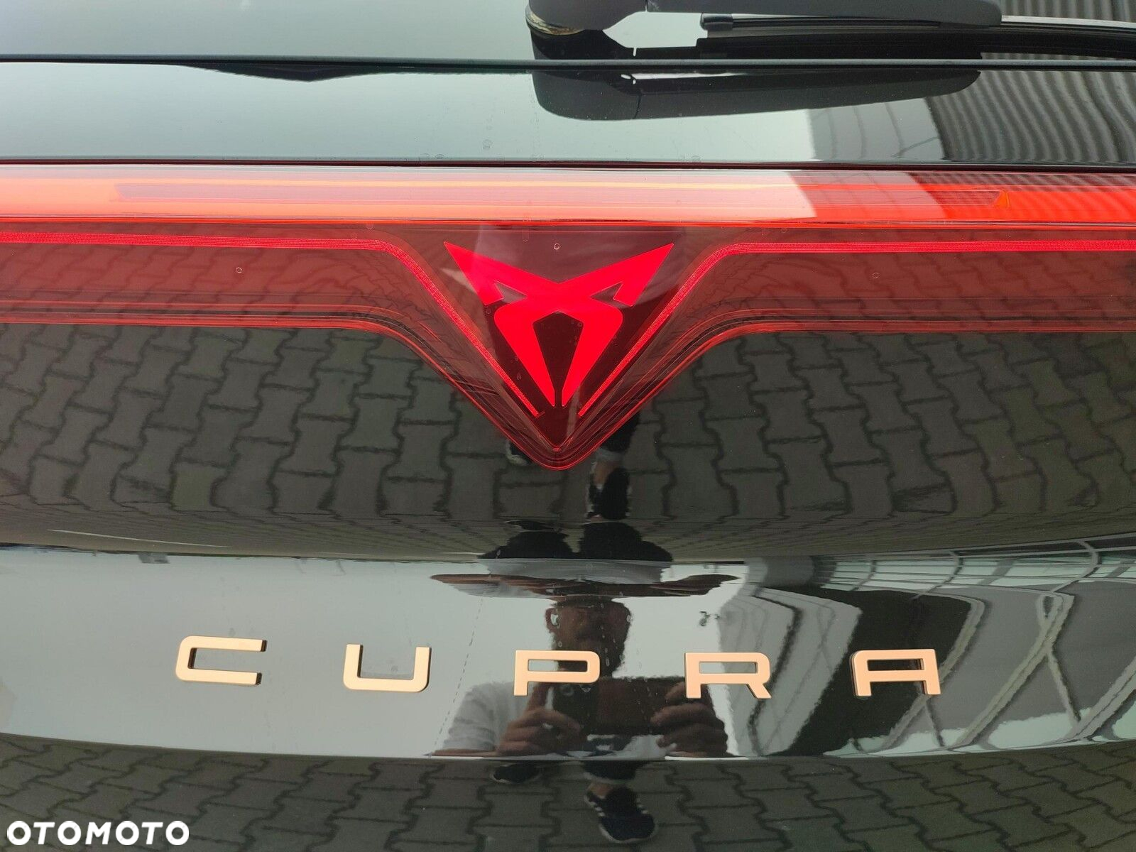 Cupra Terramar - 20