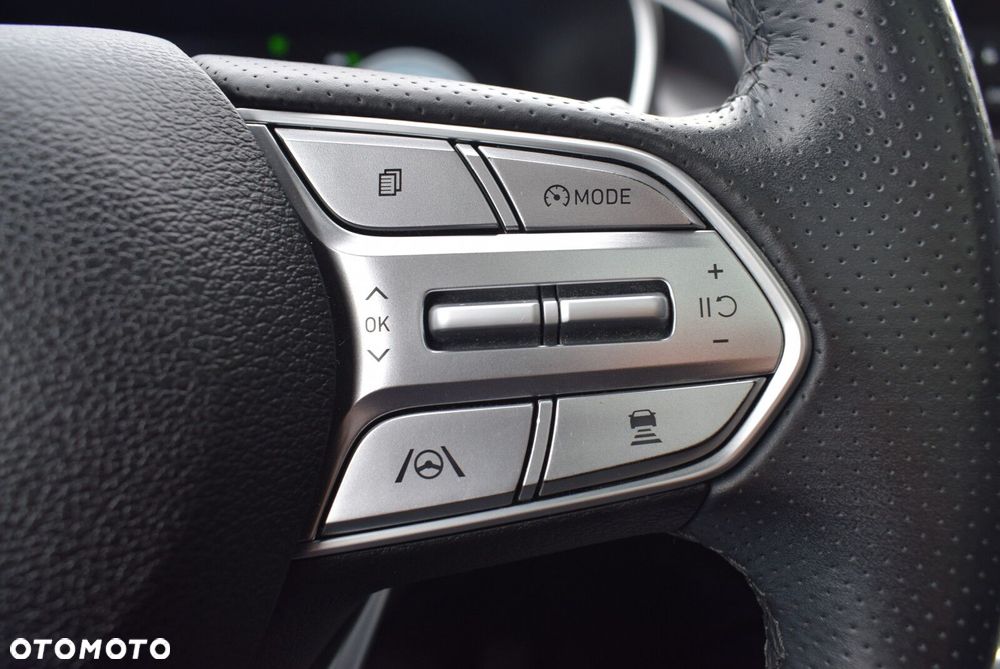 Hyundai Santa Fe - 21