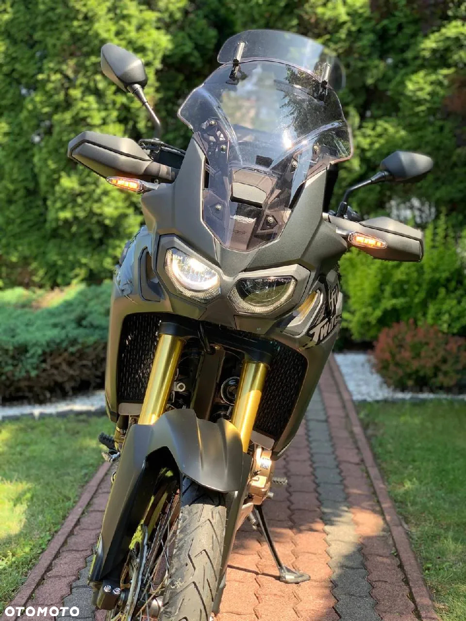 Honda CRF - 11