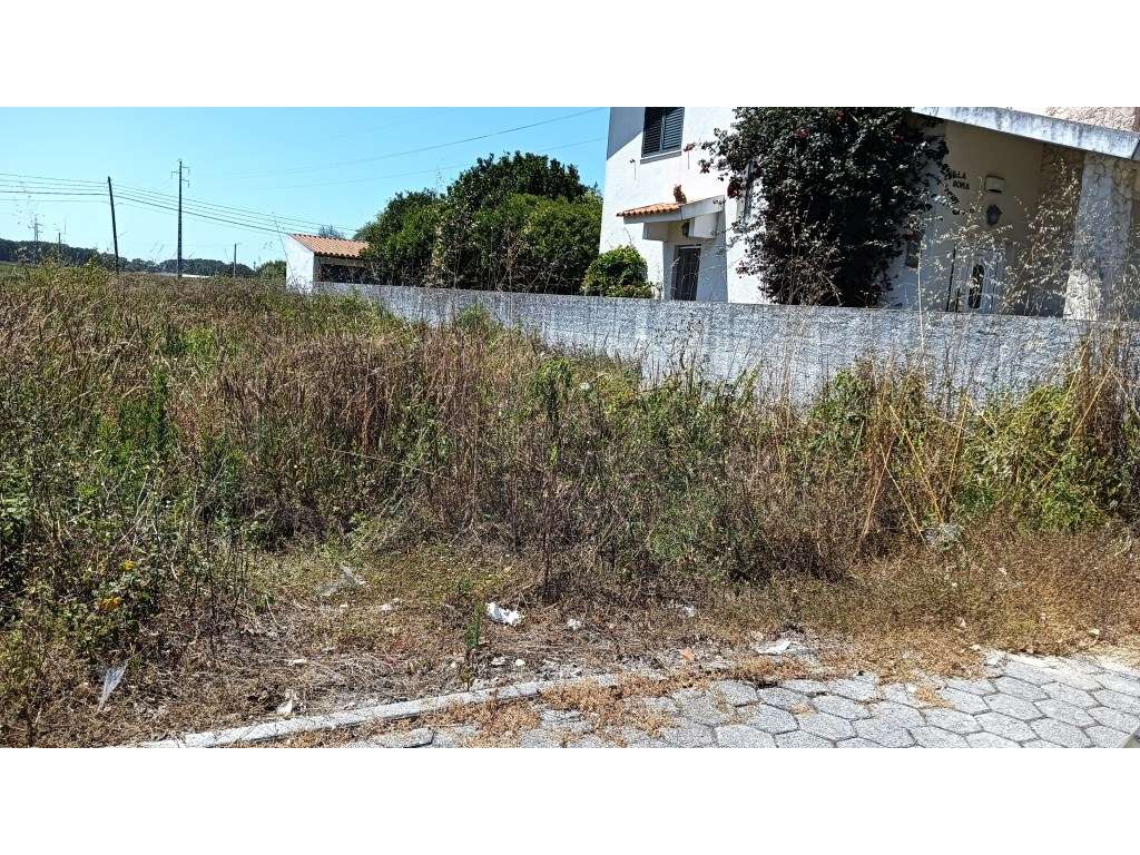 Terreno / lote para construção de moradia - Ílhavo - Grande imagem: 5/12