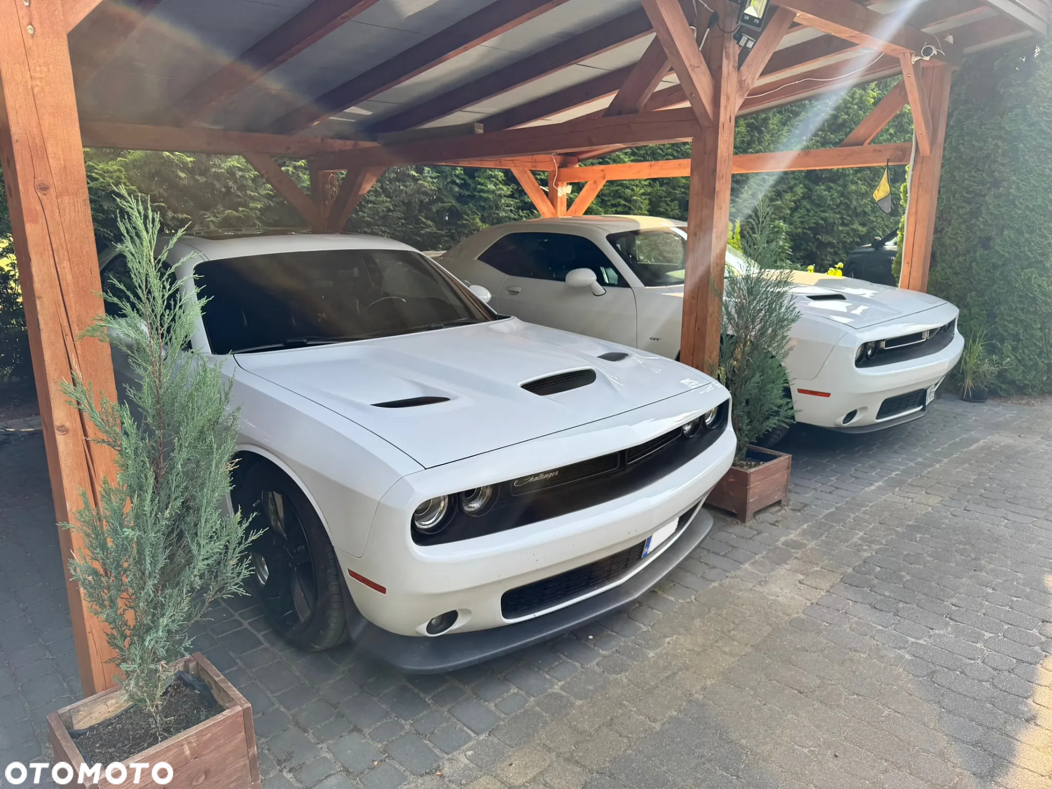 Dodge Challenger - 16