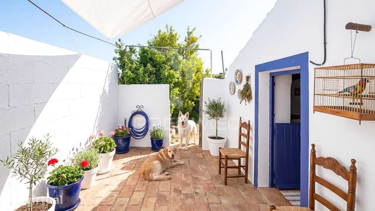 Casa térrea para recuperação total. Com quintal - Grande imagem: 3/21