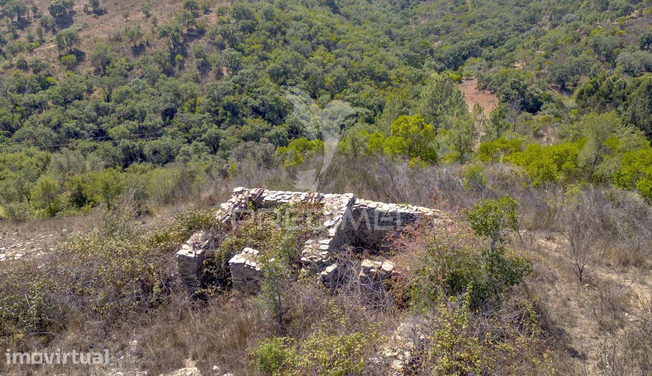 Quinta com 2,3000 ha e ruinas com 72 m2 a 11 Km de Odemira - Grande imagem: 5/23