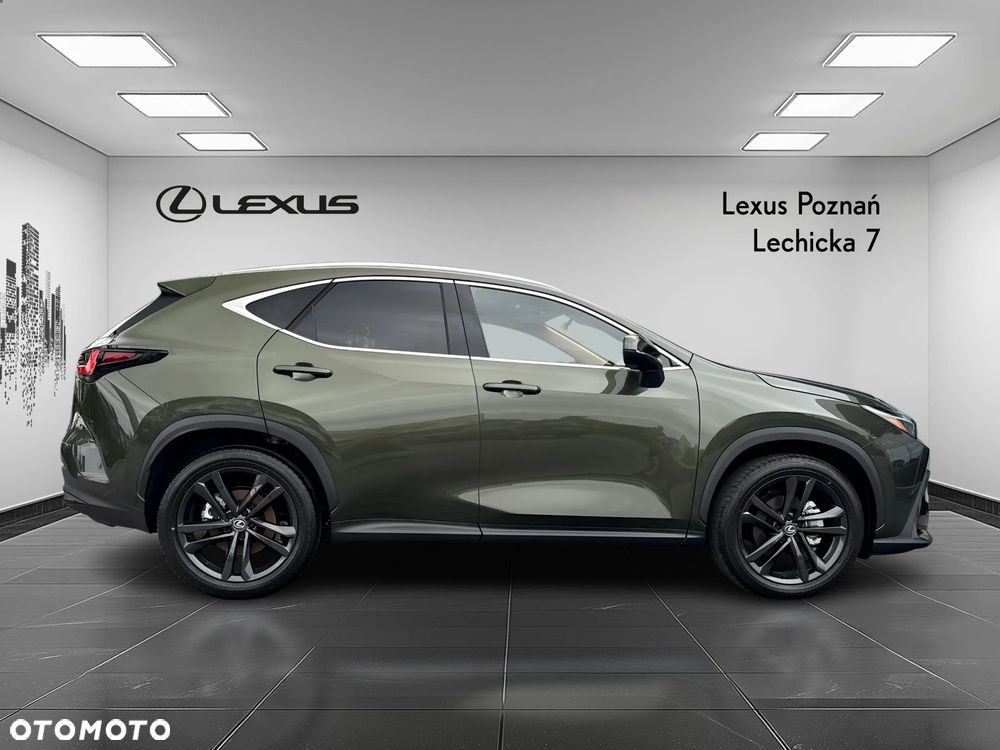 Lexus NX - 6